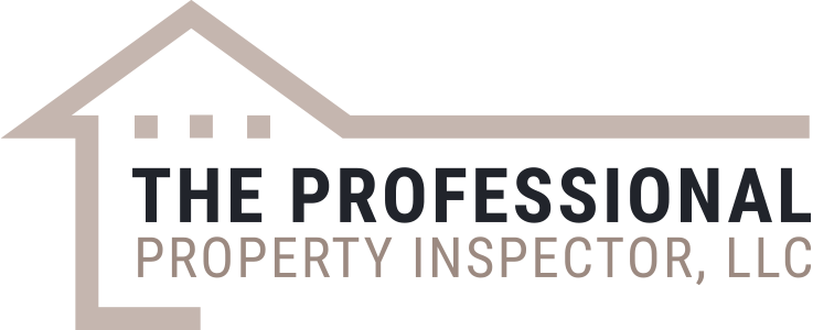 The Professional Property Inspector